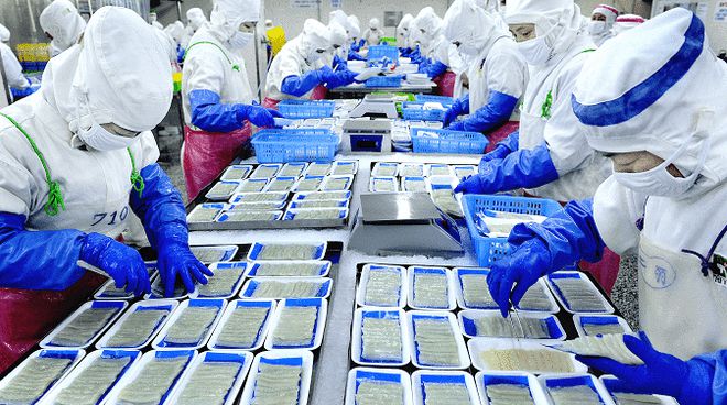 從“原字號”到“產(chǎn)業(yè)群” 丹東“藍色引擎”的逆勢崛起與商貿(mào)新篇