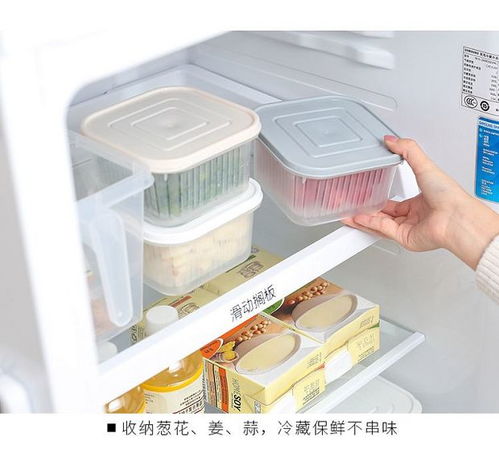 創意廚房好物 點亮烹飪樂趣，提升家居幸福感